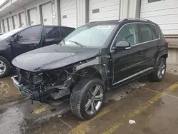 Salvage cars for sale at Louisville, KY auction: 2017 Volkswagen Tiguan Sport