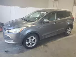 Salvage cars for sale from Copart Lufkin, TX: 2013 Ford Escape SE