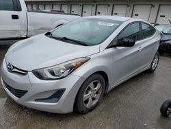 Salvage cars for sale at Louisville, KY auction: 2015 Hyundai Elantra SE