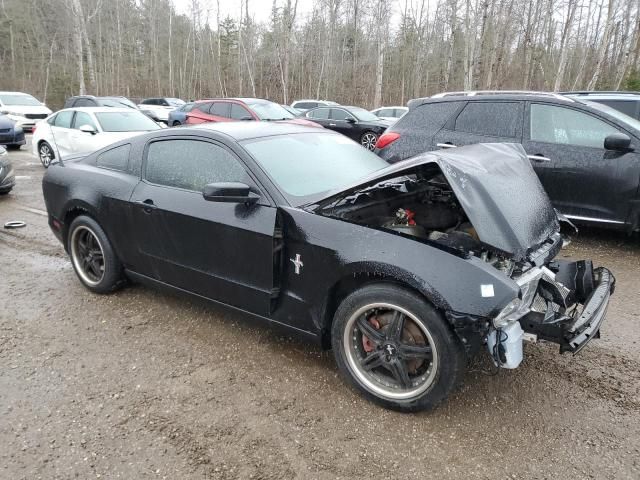 2014 Ford Mustang