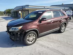 Salvage cars for sale at Fort Pierce, FL auction: 2015 KIA Sorento LX