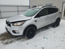 Salvage cars for sale at Appleton, WI auction: 2019 Ford Escape SE