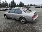 1999 Nissan Maxima GLE