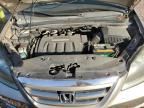 2005 Honda Odyssey EXL