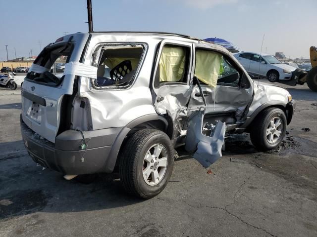 2006 Ford Escape XLT