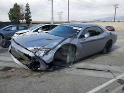 Dodge salvage cars for sale: 2014 Dodge Challenger SXT