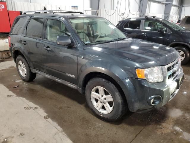 2008 Ford Escape HEV