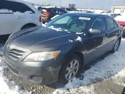 Toyota Camry Base salvage cars for sale: 2011 Toyota Camry Base