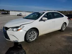 Salvage cars for sale at Memphis, TN auction: 2017 Toyota Camry LE