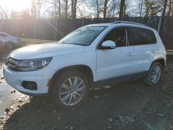 Volkswagen salvage cars for sale: 2014 Volkswagen Tiguan S