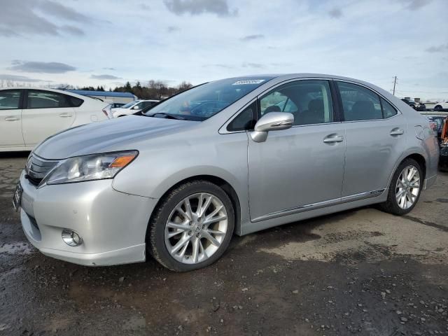 2010 Lexus HS 250H