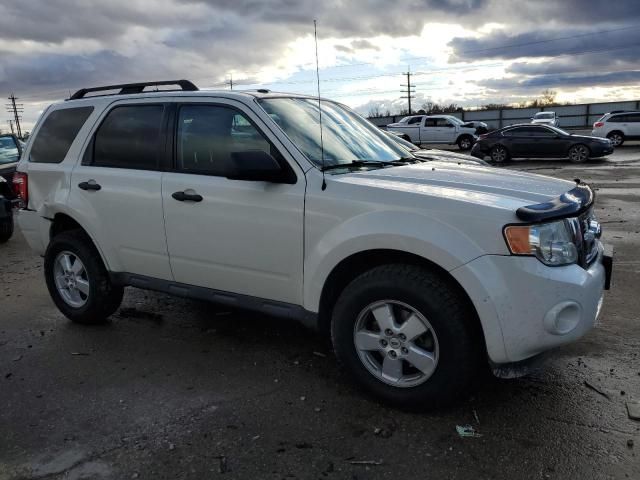 2009 Ford Escape XLT