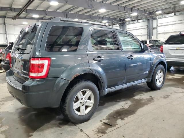 2008 Ford Escape HEV