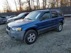 Salvage cars for sale at Waldorf, MD auction: 2007 Ford Escape XLT