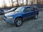 2007 Ford Escape XLT