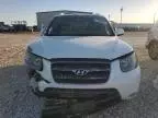 2007 Hyundai Santa FE SE