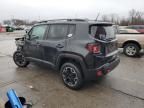 2017 Jeep Renegade Trailhawk