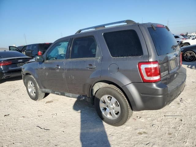 2011 Ford Escape Limited