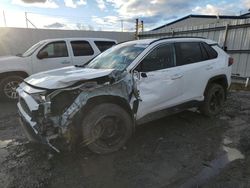 Salvage cars for sale at Albany, NY auction: 2021 Toyota Rav4 LE