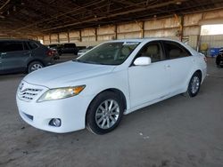 Salvage cars for sale from Copart Phoenix, AZ: 2011 Toyota Camry Base