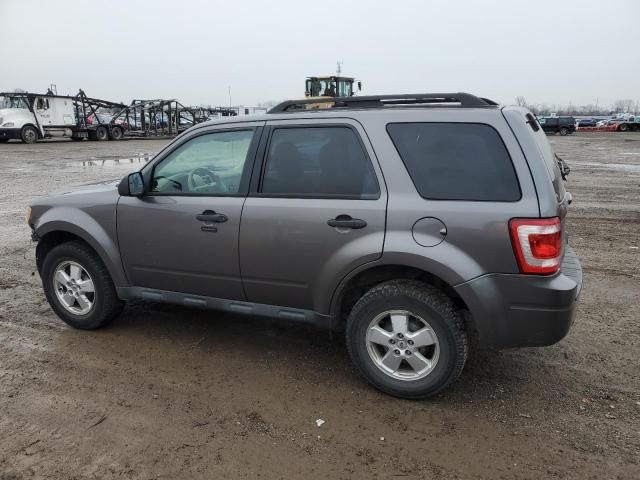 2010 Ford Escape XLT