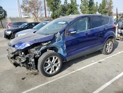 Salvage cars for sale at Rancho Cucamonga, CA auction: 2013 Ford Escape SEL