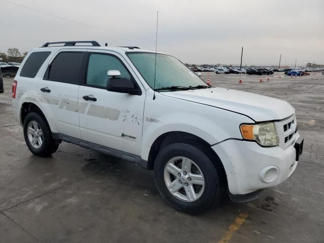 2009 Ford Escape Hybrid