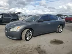 Salvage cars for sale at Orlando, FL auction: 2010 Nissan Maxima S