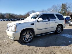 Cadillac Escalade salvage cars for sale: 2007 Cadillac Escalade Luxury