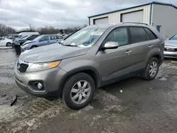 Salvage cars for sale at Duryea, PA auction: 2012 KIA Sorento Base