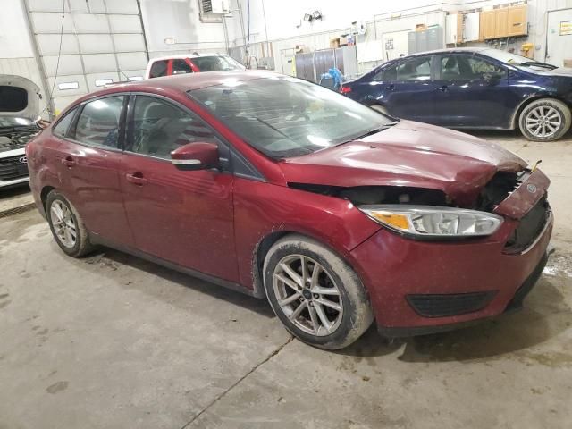 2015 Ford Focus SE