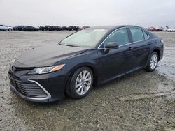 Salvage cars for sale at Antelope, CA auction: 2023 Toyota Camry LE