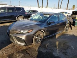 Salvage cars for sale at Van Nuys, CA auction: 2021 Toyota Camry SE