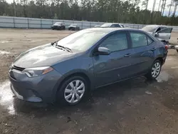 Salvage cars for sale at Harleyville, SC auction: 2016 Toyota Corolla L