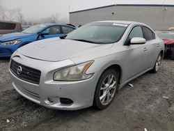 Nissan salvage cars for sale: 2014 Nissan Maxima S