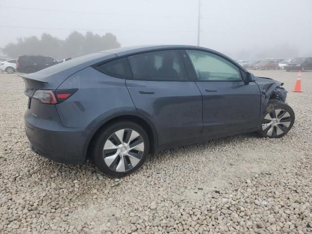 2020 Tesla Model Y