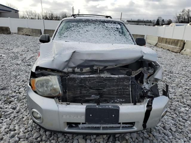 2011 Ford Escape XLT