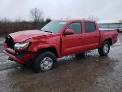 Toyota salvage cars for sale: 2023 Toyota Tacoma Double Cab