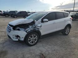 Salvage cars for sale at Indianapolis, IN auction: 2019 Ford Escape SE