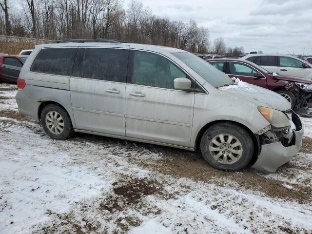 2010 Honda Odyssey EXL