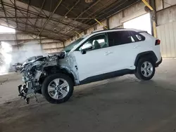 Salvage cars for sale at Phoenix, AZ auction: 2020 Toyota Rav4 XLE