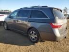 2011 Honda Odyssey EXL