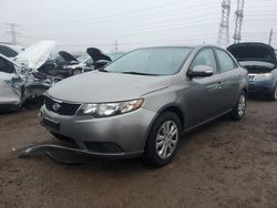 Salvage cars for sale at Elgin, IL auction: 2010 KIA Forte EX