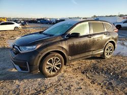 2021 Honda CR-V EX en venta en Houston, TX