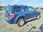 2008 Ford Escape HEV