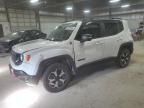 2019 Jeep Renegade Trailhawk