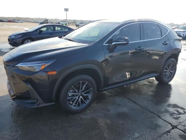 2023 Lexus NX 350