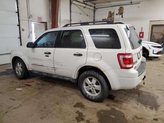 2010 Ford Escape XLT