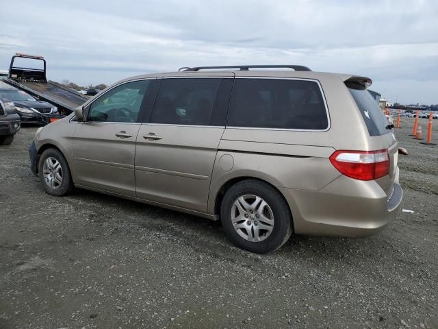 2005 Honda Odyssey EXL