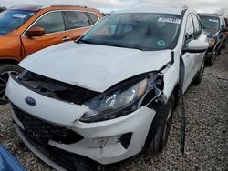 Ford Vehiculos salvage en venta: 2021 Ford Escape SE